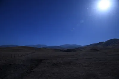 DSC_2165 (Large).JPG